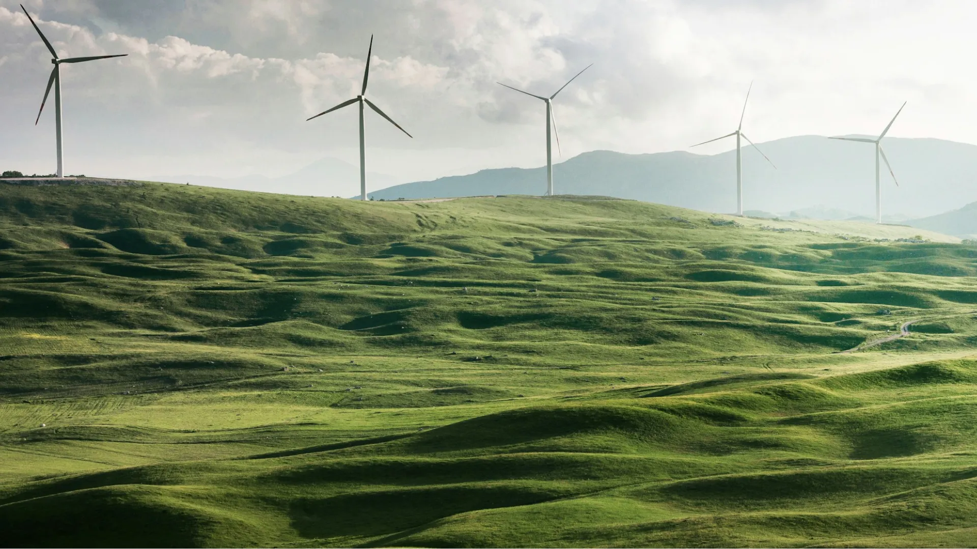 The Role of Artificial Intelligence in Custom Software Development for Renewable Energy