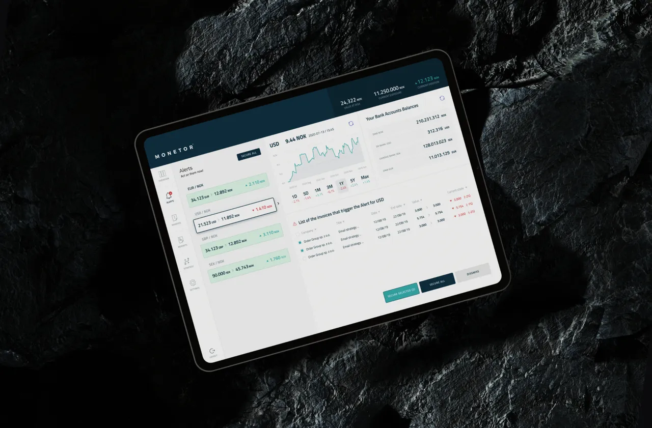 Monetor - A Web Application Analysis of Business FX Effects